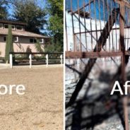 Horse Stable Bombed By Russian Troops In Ukraine, Burning Many Horses Alive – But Some Escaped