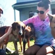 Hunters Mercilessly Abandon Their Hounds in Hampton Roads, Virginia, After Hunting Season