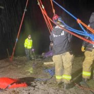 Kentucky Firefighters Rush To Rescue A “Hypothermic” Horse Stuck In The Mud