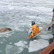 Labradoodle Found Stranded On Chunk Of Floating Ice In Middle Of Frigid River