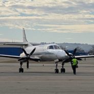 Meet The Lucky Dogs Flying To Safety On Our “Luck of the Irish” Flight to Freedom