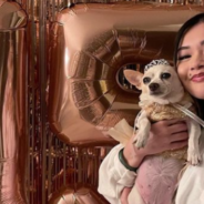 Owner Throws Quinceañera For Dog’s 15th Birthday