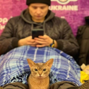 Photos Show Caring People Sheltering In Ukraine With Their Pets