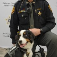 Stray Dog Becomes First Therapy Dog For Delaware County Sheriff’s Office