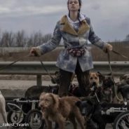 Ukrainian Woman Leads Disabled And Senior Dogs To Safety