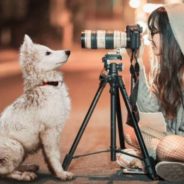 You Can Take Lovable Pictures of Your Pets by Following These 7 Easy Steps