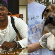 Following Steelers Quarterback Dwayne Haskins’ Death, Fans Donate to His Favorite Animal Rescue