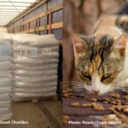 One Of The Largest European Pet Food Manufacturers Is Working With Us To Help Feed Starving Ukrainian Dogs and Cats