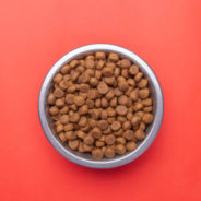 Pet food homework: 3 steps to a better bowl