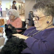 Robotic Pets Comfort Nursing Home Residents, Help Spark Memories In Those With Dementia