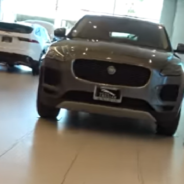 Stray Kitten Climbs Into Brand New Jaguar Luxury Vehicle