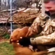 Ukrainian Soldiers Find Joy and Solace in the Company of Their Pets amid the War