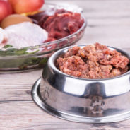 Want to switch your dog or cat to a raw diet?