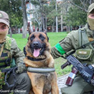 Belgian Shepherd Left Behind By Russian Forces Joins Ukrainian Military