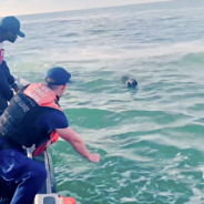 Coast Guard Rescues Family’s Lost Dog In Distress Who Fell Overboard