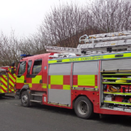 Firefighters Rescue 5 Sheep Stuck On A Roof