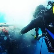 Heroic Rescue of a Humpback Whale Which Got Entangled in Illegal Driftnet off Spanish Coast