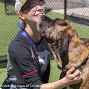 Missing Maine Shelter Dog Captured After Being On The Run For 26 Days