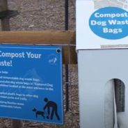 Nature Reserves May Be Getting Endangered by Dog Poop due to Over-Fertilization