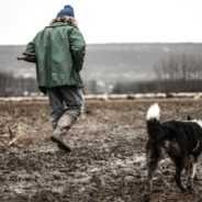 New Study Claims Dog Owners Are Happier Than Those Who Don’t Have Dogs In Their Lives