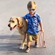 Rescue Dog Watches over Toddler Even at Night to Keep Him Safe