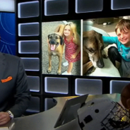 Scott Van Pelt Pays Tribute To His Late Dog On ESPN