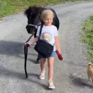 The Most Adorable Friendship Between a Little Pony and a Charming Girl