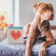 To Dad, From Your Dog — Canine Father’s Day Cards