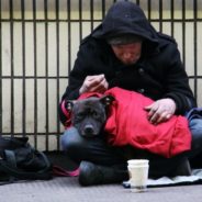 Upcoming webcast: Supporting Unhoused People and Their Companion Animals