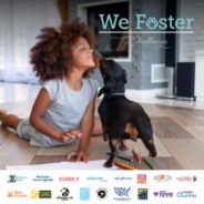 We’re halfway through the We Foster Challenge!