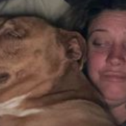 Woman Wakes Up With Mysterious Dog Laying In Her Bed