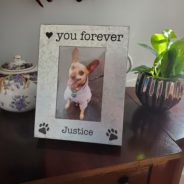 7 Tips on how to hold a memorial service for your dog that has died