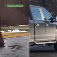 A Sweet Rescue Dog Waits for Her Dad to Come Home by Staying in the Driveway