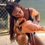 A Woman and Her Baby Flamingo Had the Sweetest Reunion Most Unexpectedly