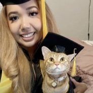 After Attending Zoom Classes With Her Owner, Clever Cat Joins Graduating Class In Austin, Texas