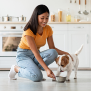 Giving pets supplements: making a frustrating task easy