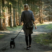 Key findings about our dog walking habits: is he getting enough exercise?