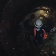 Rescuers Teamed Up to Save a Stray Dog That Fell in a 100-Foot Deep Dry Well