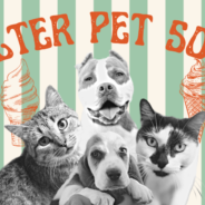 Shelter Pet Social Fundraising Guide