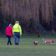 The Rudest Things You Can Do at The Dog Park