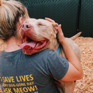 Why Is It So Hard to Volunteer to Help Pets?