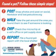 5 Kits, Infographics, and Tools to Get More Lost Pets Back Home to Their Families