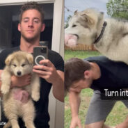 A Fun-Loving Dog Grows Up into a Human Tackler