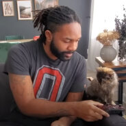 A Guy Fosters One Cat which Led to Unexpected Changes at Home