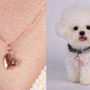 A Rose Gold Best Friend Set Is a Must for Moms and Pampered Pups