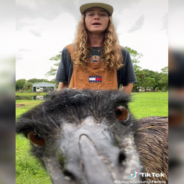 Emmanuel The Emu Is Going Viral For His Cheeky Antics On TikTok