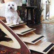 How to Build a Dog Staircase