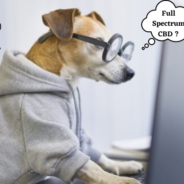 How to Choose and Understand the Difference Between “Full Spectrum” CBD Oil, “Broad Spectrum” CBD Oil and CBD “Isolate” for Pets