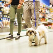 How to Find Dog-Friendly Stores