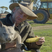 Man Holds Farting Wombat That’s Angrily Eating Corn